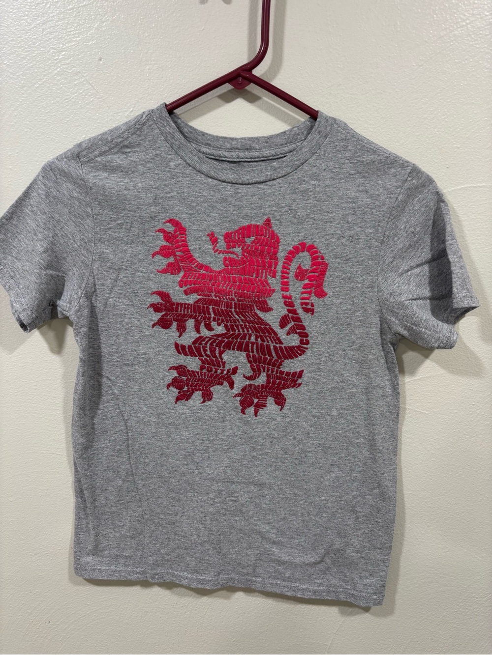 Kids Harry Potter Gryffindor Lion Word Art graphic t-shirt Size Med
